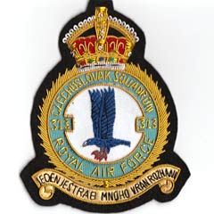 313 Squadron RAF Blazer Badge
